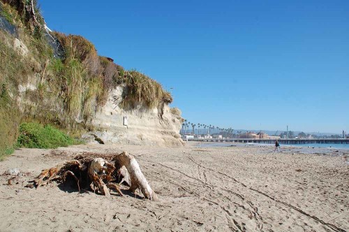 The promontory from which Cowell Wharf came down to the beach. It is just below the Sea and Sand Inn.
