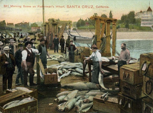 Morning scene on Fisherman’s Wharf. The postcard is circa 1909 and Fisherman’s Wharf was also known as the Railroad Wharf. This image predates the current municipal wharf but the fishing scene is similar to what would have been for many years on the current wharf. Image courtesy of Frank Perry.