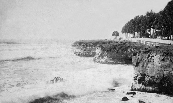 The cliffs and bluffs just east of Lighthouse Point circa 1900. Parts of the James Phelan Estate can be seen behind the white picket fence. Note there is no road on top of the bluffs. Photo courtesy of the Santa Cruz Museum of Natural History.