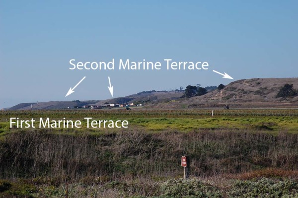 The flat foreground is the first marine terrace. The second marine terrace is clearly visible. To the right of the middle white arrow, in the background, you can see the third.
