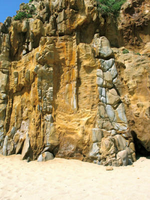 Photo from the collection of Gary Griggs. See his article on these intrusions.