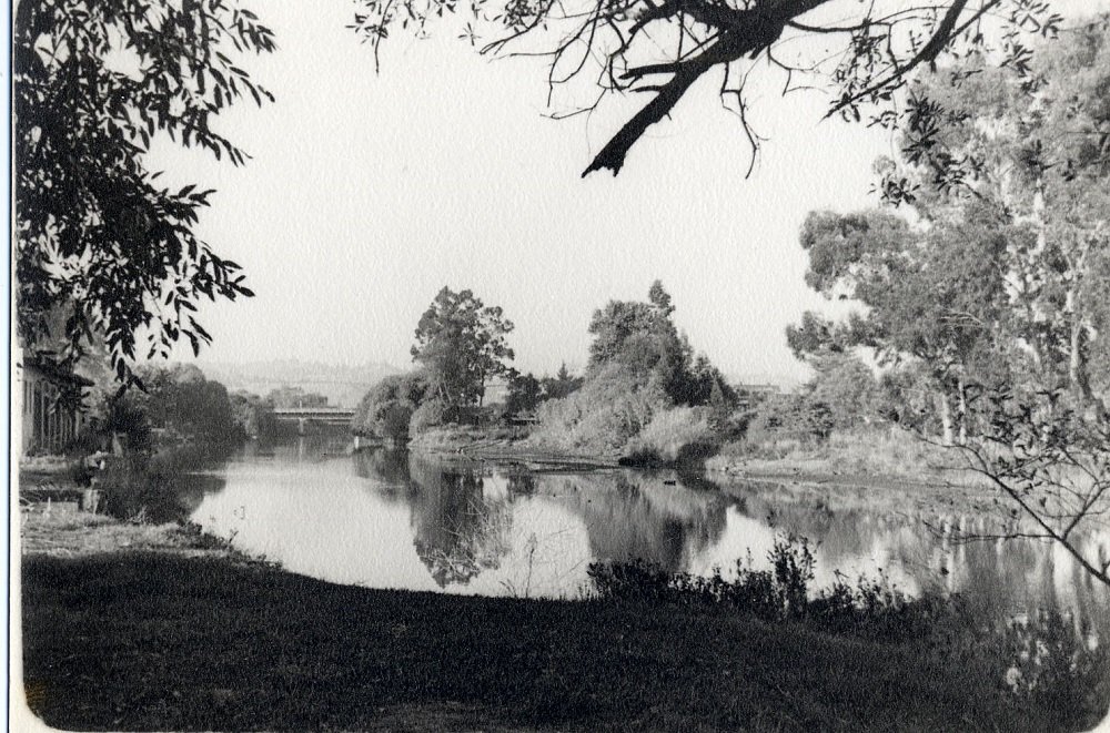 View upstream, towards the Broadway bridge, Mike Fox park and Riverside Avenue. Picture courtesy of and © Santa Cruz Museum of Art and History.