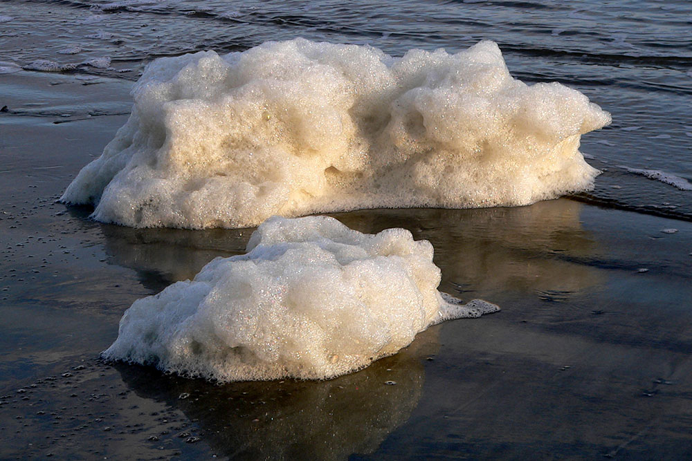 Sea foam at Hilton Head Island, South Carolina, 2009. Photo by Lee Coursey.