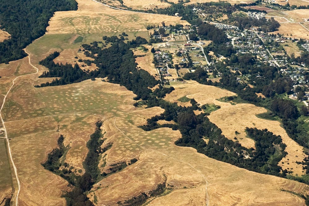 Aerial view of mima mounds, i.e. the circles, dotting the ridge of the lower UCSC campus, 2010. Image courtesy of and © William Hyder.
