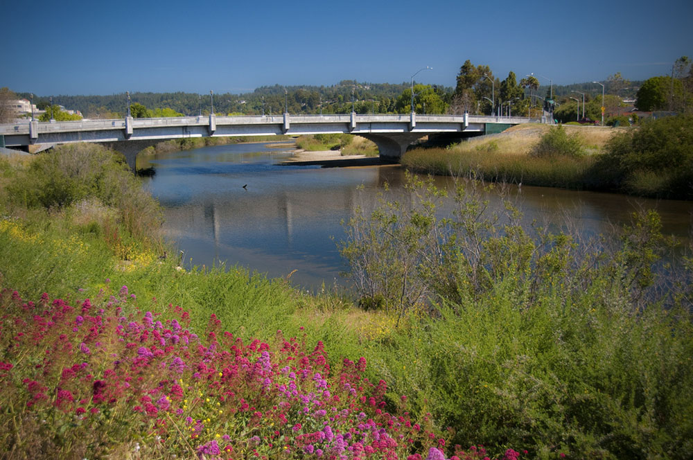 The San Lorenzo River, 2010. Photo © J. Klinger