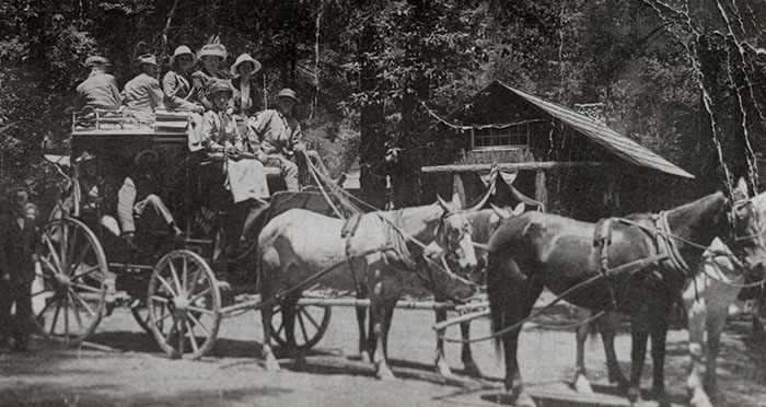 Charley Parkhurst would have driven a stagecoach similar to this one pictured at Big Basin in 1906. Image: Courtesy of the Santa Cruz Museum of Art & History
