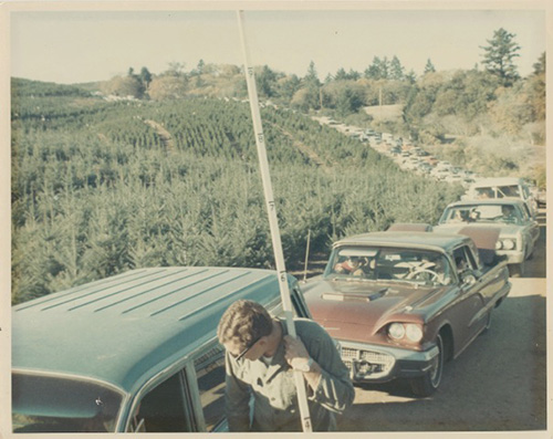 A long line of families waiting to cut fresh Christmas trees at Skyline Ranch in 1965. Photograph courtesy of Hans Johsens.