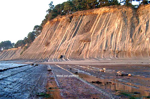 The "bowling alleys" of Bowling Ball Beach. As waves crash into the cliff, the sandstone erodes away and form the ‘lanes’. Photo courtesy of Ted from geologictrips.com.