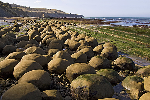 These massive rock bowling balls are the result of minerals cementing together over millions of years in a process called concretion. As the softer sandstone cliff face erodes away, the harder mineral concretion remains, eventually falling down to the beach. Photo courtesy of Chris de Rham. (June 4, 2008)
