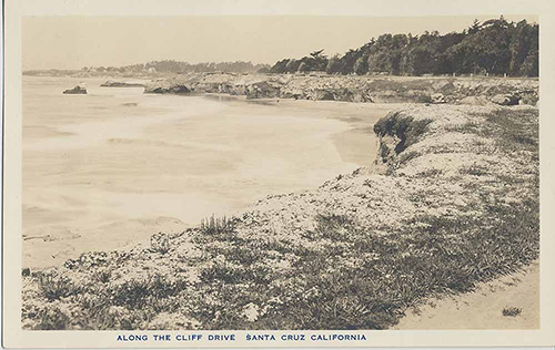 A post card showing West Cliff Drive circa 1920s. These plants probably are not native to California either, but it shows the plants at least pre-ice plant! Image courtesy of Frank Perry.