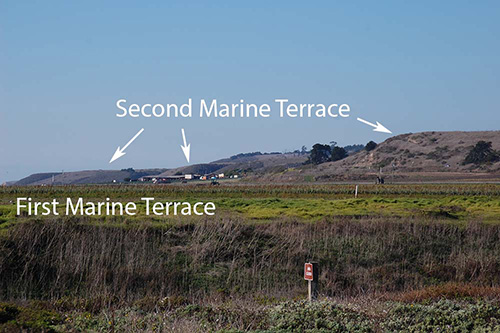View looking west from the Old Cove Trail. You are standing on the first marine terrace. The second marine terrace is clearly visible. To the right of the middle white arrow, you can see the third marine terrace.