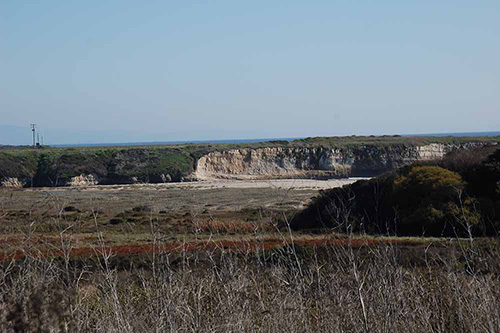 Since 1994 this beach has undergone restoration efforts to create a more native habitat. It is currently closed to visitors.