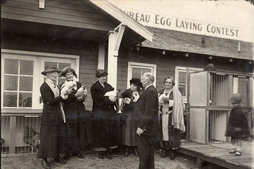 C.D. Hinkle, president of the Santa Cruz Chamber of Commerce, presents an award to representatives of the St. John’s Poultry Farm, whose five hens won the two year contest in 1924 with their world-record 2,502 eggs. Photo courtesy of the Santa Cruz Museum of Art & History.