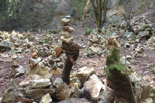 Rock art in a rock oasis. Photo © Lauren McEvoy