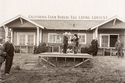 A poultry farmer being honored for her winning hens. Photo courtesy of the Santa Cruz Museum of Art & History.