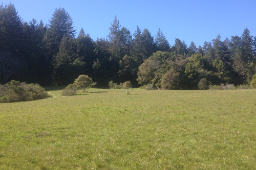 The Haunted Meadow does not look so haunted in midday. Photo courtesy Lauren McEvoy