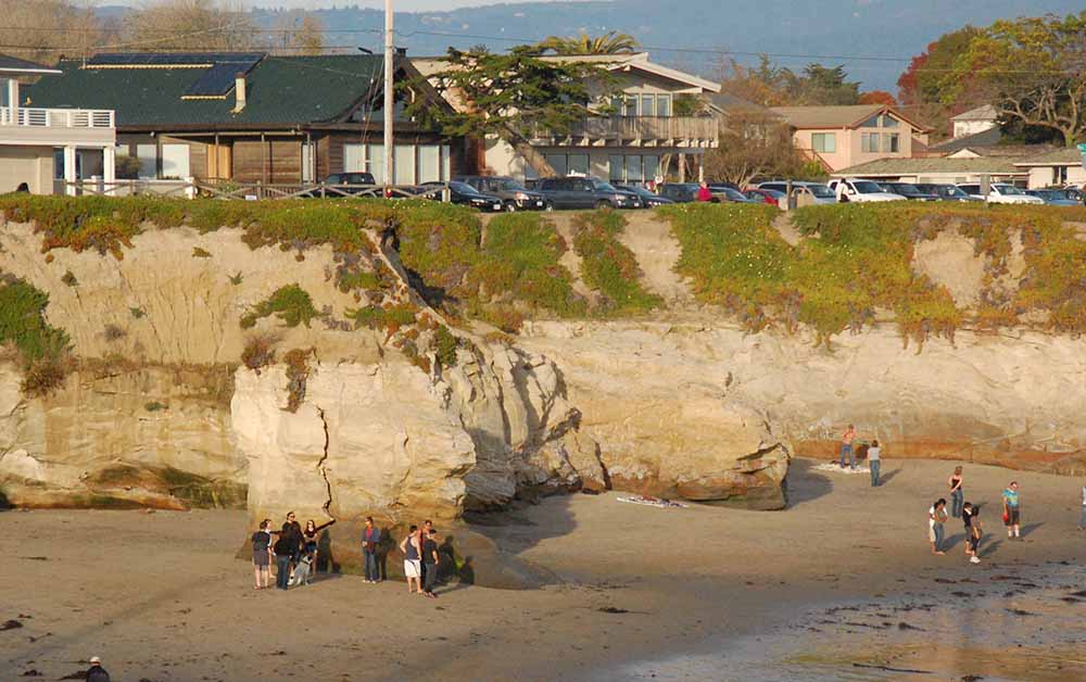 An example of the Purisima Formation along West Cliff Drive. The top part of the cliffs where most of the ice plant is growing are composed of Quaternary deposits. The bottom section is the Purisima Formation. The contact between them can be seen clearly in the middle of the photo.