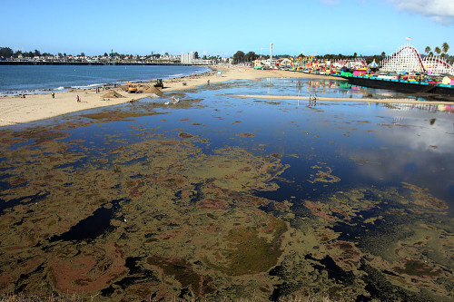 The San Lorenzo River lagoon was breached in 2014 as waters threatened the Santa Cruz Boardwalk. Photo courtesy of and © Dan Coyro / Santa Cruz Sentinel.