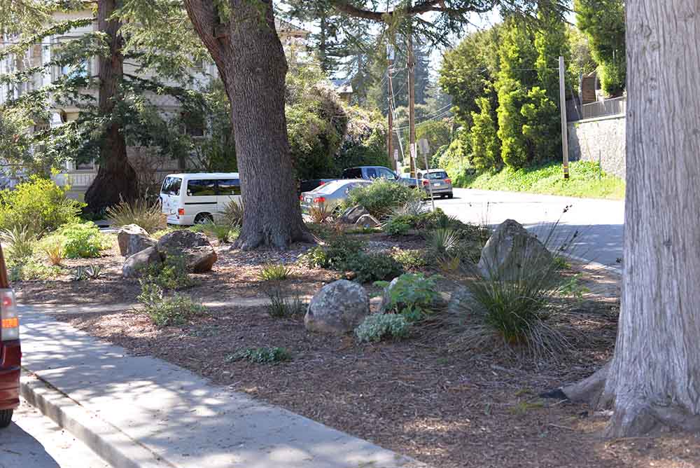 Only one block long, Rincon is one of the oldest streets in Santa Cruz. Its name means “inside corner” which is an apt name for its gentle curve along the bottom of Mission Hill.