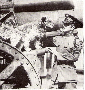 Rags with Sergeant George E. Hickman, 16th Infantry, 26th Division. Photo from FlowerofScotland.