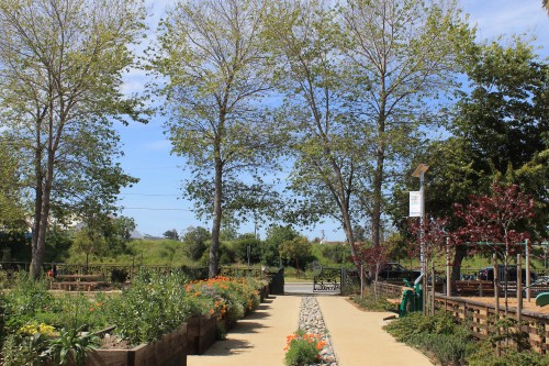 Riverside Gardens Park in 2015.