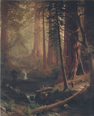 Giant Redwood Trees of California. Oil on Canvas by Albert Bierstadt, 1874