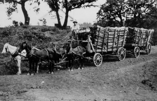 Wallace Moody leaves Saratoga Summit on his way to the Santa Clara Valley with a load of firewood from his family’s ranch. Fairview School in the background. Photo courtesy of Louise Cooper.