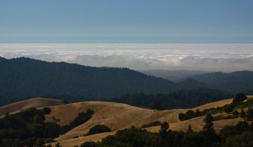 View over Portola Valley from Russian Ridge. Photo by Jeff.