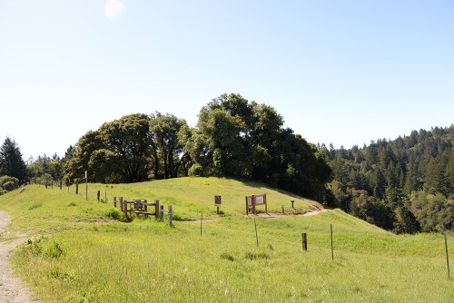 The entrance to OPEN SPACE PRESERVE X??