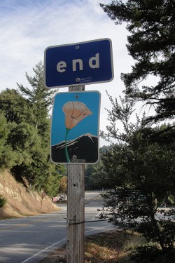 Demarcation of the Santa Cruz County Line. Don't worry there are California poppies in Santa Cruz!.