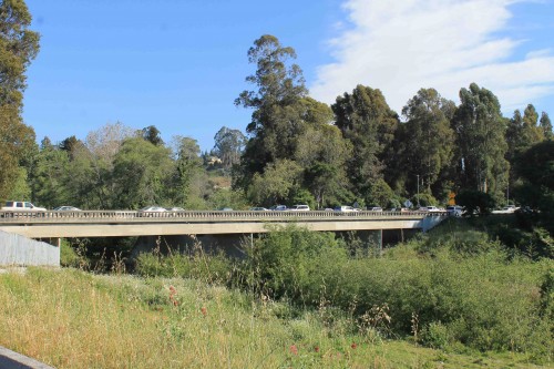  The Highway 1 bridge travels over the San Lorenzo River. Here, it is illegal for pedestrians or bikes to cross the river. Photo courtesy and © of Coastal Watershed Council.
