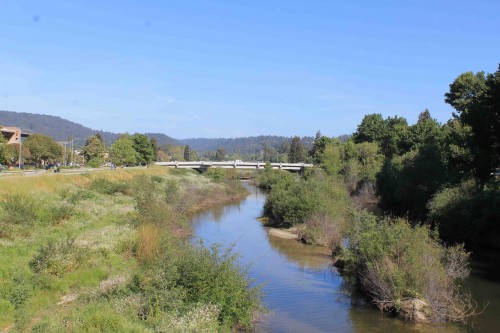 The Water Street Bridge crosses the San Lorenzo River from San Lorenzo Park on its east side to the edge of downtown Santa Cruz on its west side. Photo courtesy and © of Coastal Watershed Council.