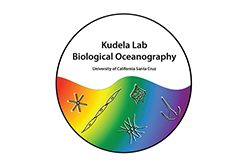 kudela kudela
