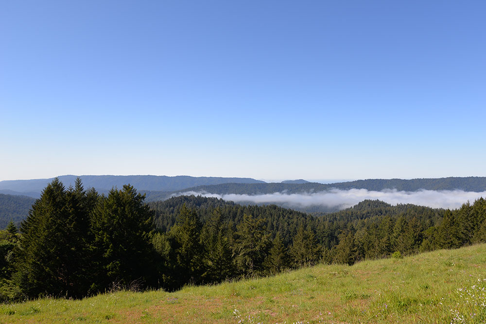 The view looking west from Sempervirens Point