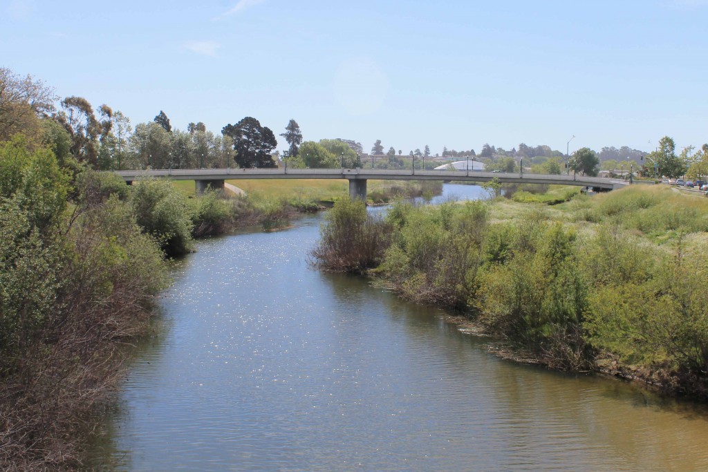 Soquel Avenue Bridge spans across the San Lorenzo River. Photo © Coastal Watershed Council. 