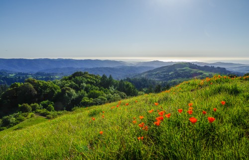View from Russian Ridge, 2015. Photo: Yūgen CC BY 2.0