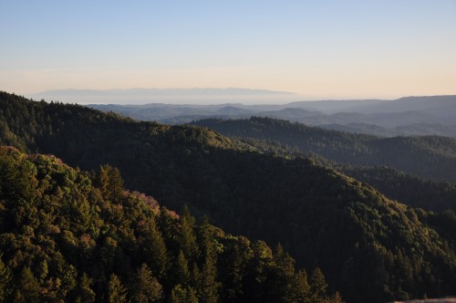 View from Castle Rock State Park, 2011. Photo: Sourav Das CC BY 2.0