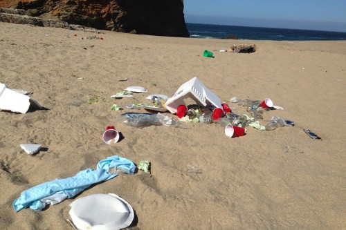 Summer visitors on a holiday weekend can leave their mark on Santa Cruz beaches, such as this view of Panther Beach after Memorial Day weekend. Photo courtesy of Save Our Shores.
