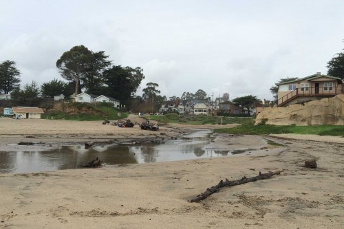 Pilkington Creek flowing onto Seabright Beach after a storm in December, 2014. Photo courtesy of Molly Lautamo.