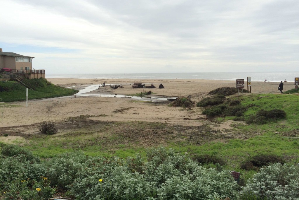Pilkington Creek wends its way to meet the Pacific Ocean at the entrance to Seabright Beach. Photo courtesy of Molly Lautamo.