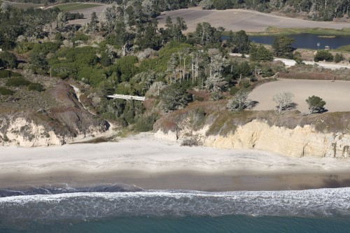 Cove Beach, at the northern end of Año Nuevo Bay in 2009. Photo: © Kenneth and Gabrielle Adelman, California Coastal Records Project .http://www.Californiacoastline.org