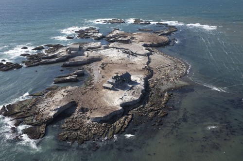 The lighthouse and surrounding buildings on Año Nuevo Island in 2009. All the dots and textured areas that you might think is seaweed, are actually seals. Photo: © Kenneth and Gabrielle Adelman, California Coastal Records Project .http://www.Californiacoastline.org