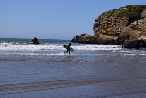 Surfer at Cove Beach, April 2015. Photo: Mike Merritt.