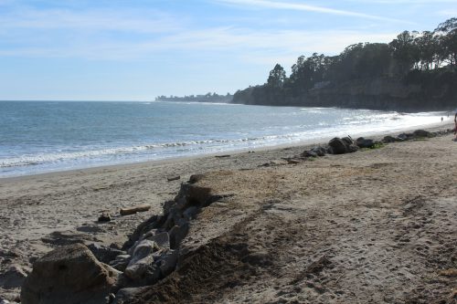 New Brighton State Beach bluffs, next to the bathrooms looking North. Photo: Lauren McEvoy/Mobile Ranger