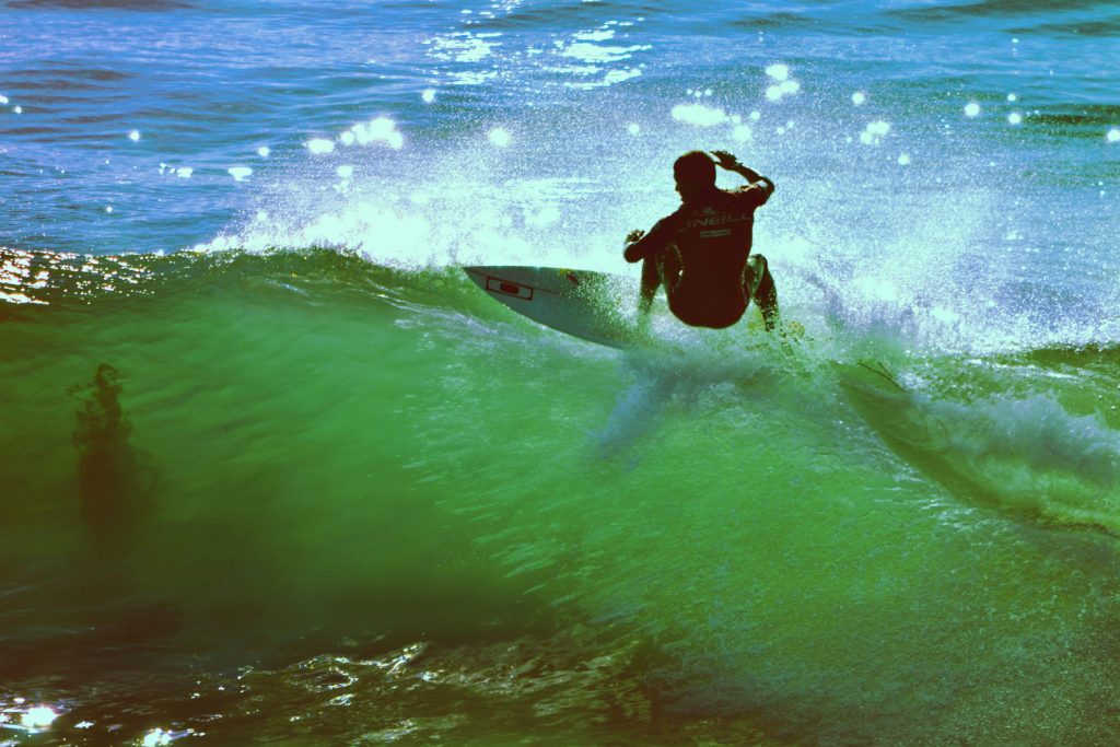 Surfing over Kelp Forests at Cove Beach Mobile Ranger