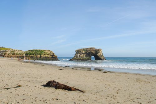 Natural Bridges State Beach in 2016. Photo: Julia Gaudinski/Mobile Ranger.