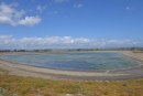 Elkhorn Slough: From Salt Ponds to Bird Sanctuary
