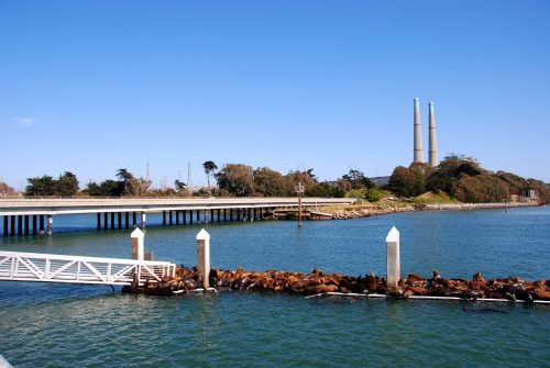 Moss Landing harbor at Elkhorn Slough. Photo: a7pointstar